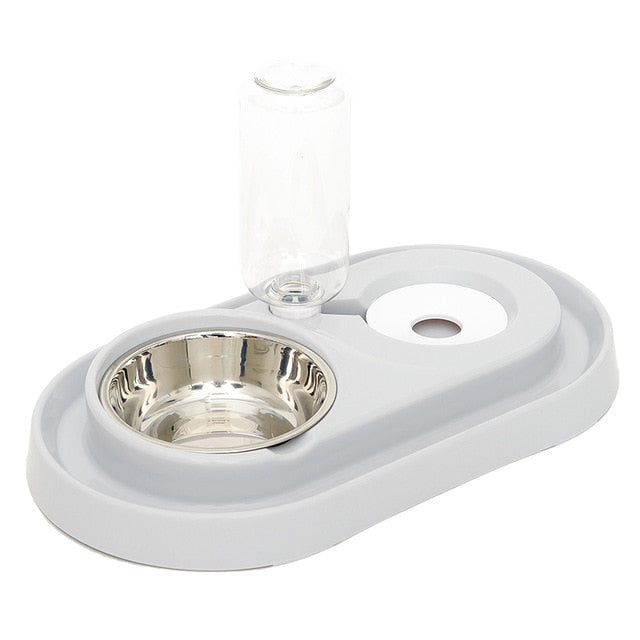 Cat Bowl