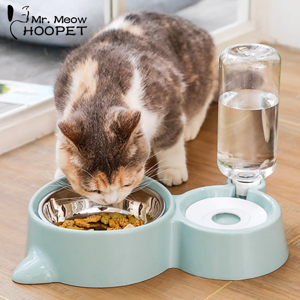 Cat Bowl
