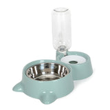 Cat Bowl
