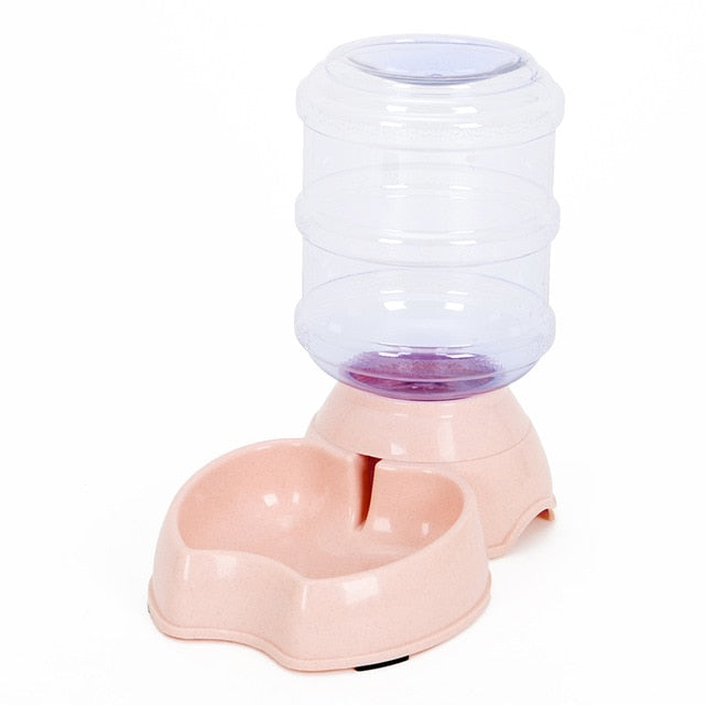 Cat Bowl
