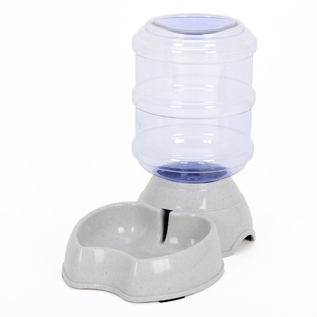 Cat Bowl