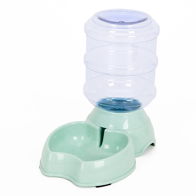 Cat Bowl